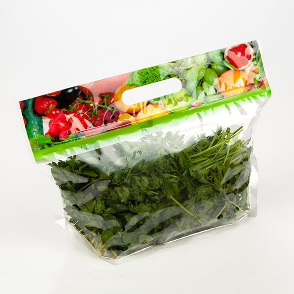 Draagtassen met Handvat en luchtgaten 29,2x10,8x15,6cm (100 stuks) [ZFG5V]