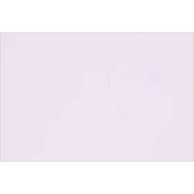 Afbeelding van Frans karton, A4, 210x297 mm, 160 gr, lilac, 1 vel | Karton Frans karton Karton en papier | 8719346104342