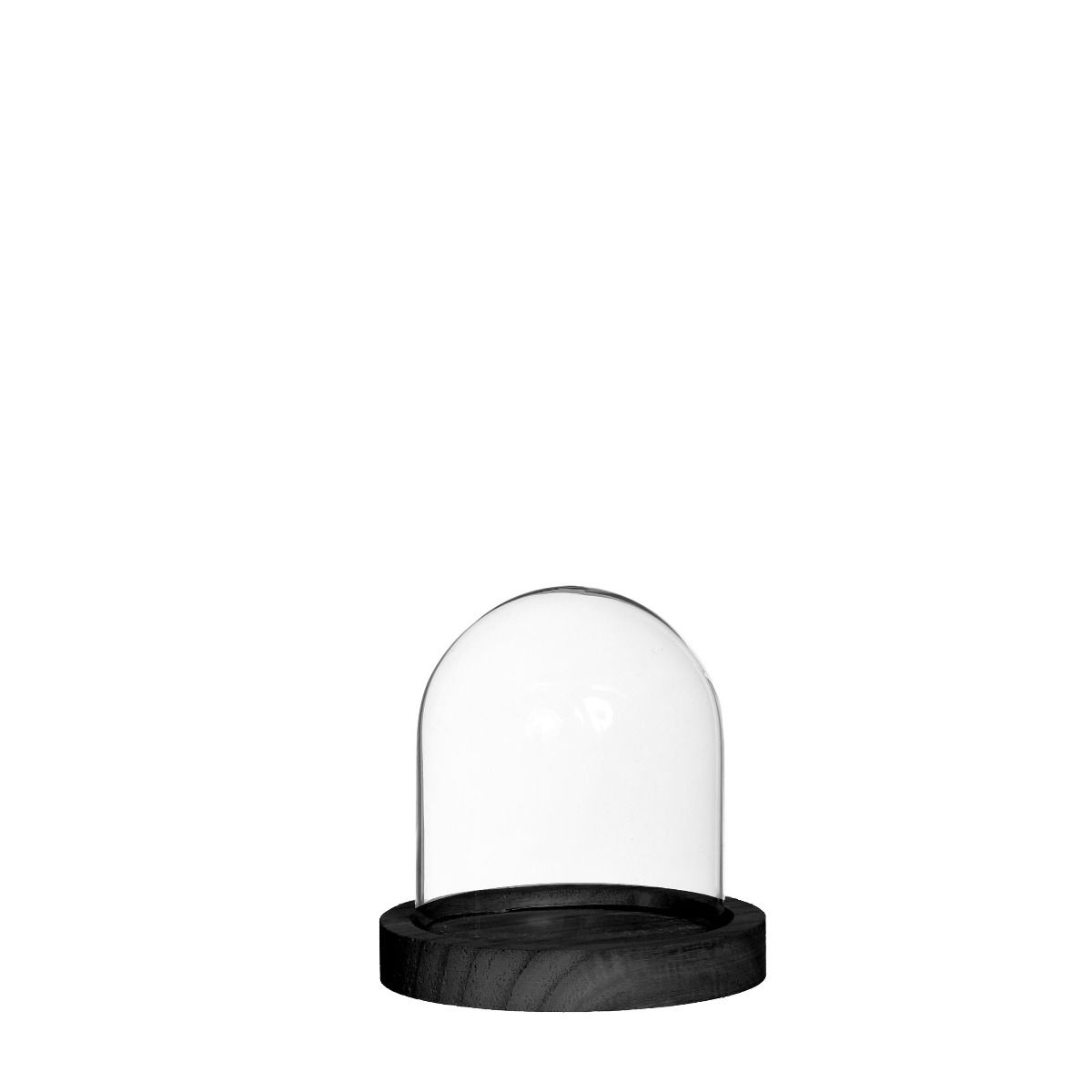Glazen stolp met zwart houten basis Ø10cm H. 10 cm