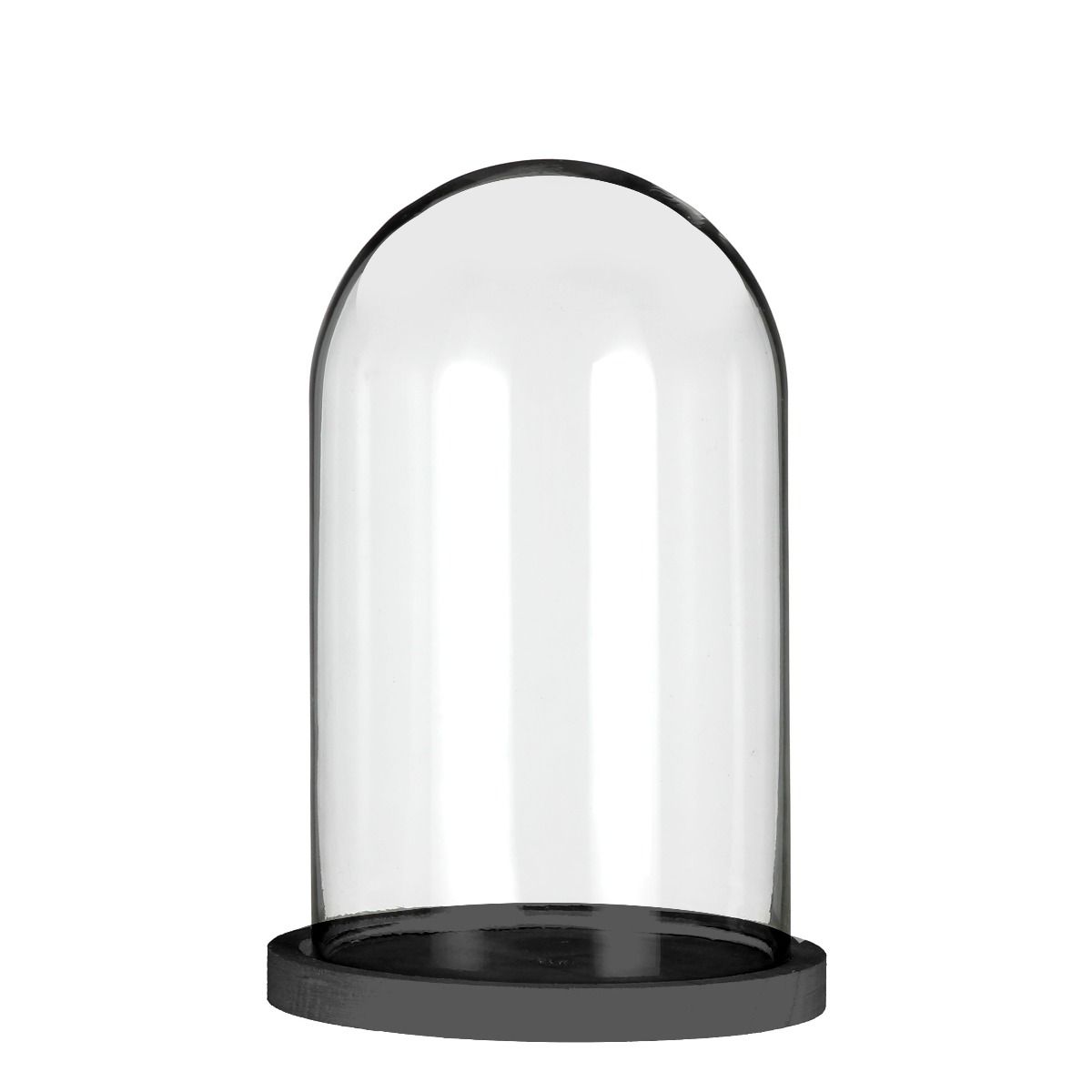 Glazen stolp met zwart houten basis Ø14cm H.21cm
