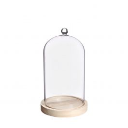 Glazen stolp met glazen knop met houten basis Ø14 h.23,5 cm (1 st) [IFS-29314]