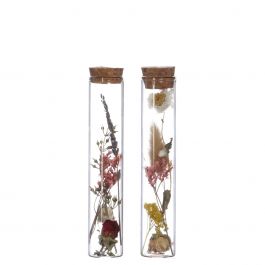 Glazen buis met 2 diverse droogbloemen Ø3cm (12 st.) [IFS-29343]