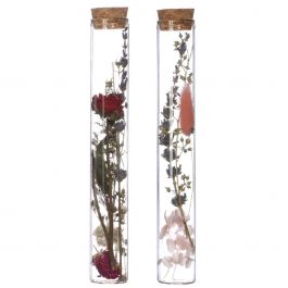 Glazen buis met 2 diverse droogbloemen Ø3cm (12 st.) [IFS-29344]