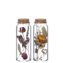 Glazen buis met 2 diverse droogbloemen Ø4,5cm (12 st.) [IFS-29346]