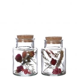 Glazen medicijnfles met 2 diverse droogbloemen Ø7cm (12 st.) [IFS-29394]