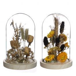 Glazen stolp met droogbloemen naturel Ø12cm (1 st.) [IFS-29834]