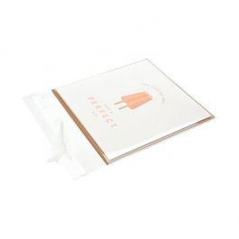 Plastic zakken 12x12 cm Transparant en Hersluitbaar (100 stuks) [KO-301212]