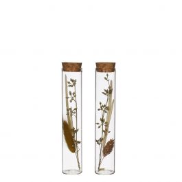 Glazen buis met diverse droogbloemen naturel 15cm hoog (12 st.) [IFS-30343]