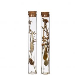 Glazen buis met diverse droogbloemen naturel 20cm hoog (12 st.) [IFS-30344]
