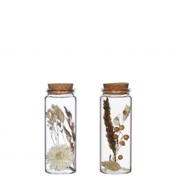 Glazen buis met diverse droogbloemen naturel 12,5cm hoog (12 st.) [IFS-30346]
