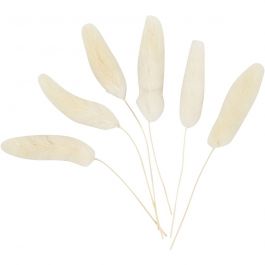 Hazenstaart gras, L: 3-7 cm, 6 stuk/ 1 doos [HOB-50203]