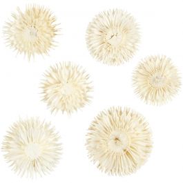 Gedroogde Bloemen, d 3-5 cm, 6 stuk/ 1 doos [HOB-50204]