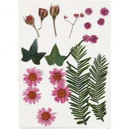 Gedroogde bloemen en bladeren, lichtrood, 1 doos [HOB-504471]