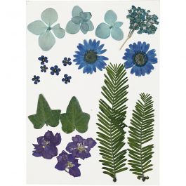 Gedroogde bloemen en bladeren, blauw, 1 doos [HOB-504472]
