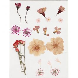Gedroogde bloemen en bladeren, lichtroze, 1 doos [HOB-504474]