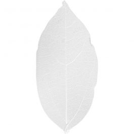Skeleton leaves , L: 6-8 cm, wit, 20 stuk/ 1 doos [HOB-504491]