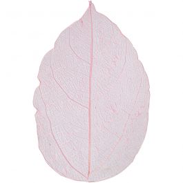 Skeleton leaves , L: 6-8 cm, lichtrood, 20 stuk/ 1 doos [HOB-504496]