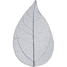 Skeleton leaves , L: 6-8 cm, blauw, 20 stuk/ 1 doos [HOB-504497]