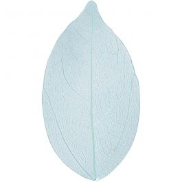 Skeleton leaves , L: 6-8 cm, lichtblauw, 20 stuk/ 1 doos [HOB-504498]