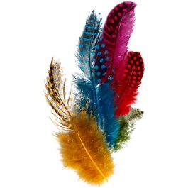 Veren van parelhoen, diverse kleuren, 3gr/ 1 doos [HOB-51813]