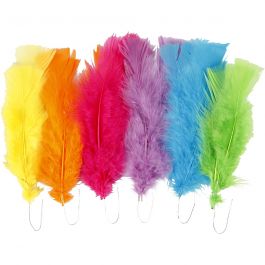 Veren, L: 11-17 cm, diverse kleuren, 18 bol/ 1 doos [HOB-518460]