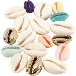 Schelpen, L: 20 mm, diverse kleuren, 75 stuk/ 1 doos [HOB-61019]
