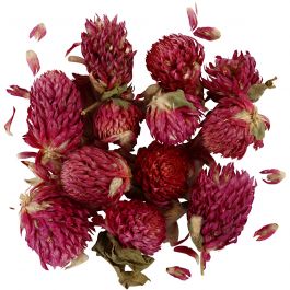 Gedroogde Bloemen, Rode klaver, L: 1,5-2,5 cm, d 1 - 1,5 cm, 15 gr, paars, 1 doos [HOB-709502]
