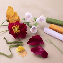 Starter Hobbyset Crêpepapier, diverse kleuren, 1 doos [HOB-97738]