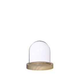 Glazen koepel met houten basisvoet Ø 10 cm en 10 cm hoog (1 st) [IFS-29421]