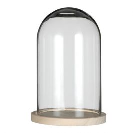 Glazen koepel met houten basisvoet Ø 17 cm en 25 cm hoog (1 st) [IFS-29425]