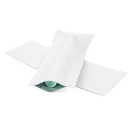 Plastic Zakken Wit 3,8x10,2cm Sealbaar permanente Sluiting (100 stuks) [CRB4W]