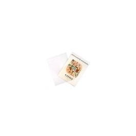 Plastic Zakken 29x36cm Transparant en Hersluitbaar (100 stuks) [B11]