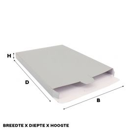 Verzenddoosjes 30,5x42x9cm Zilver (50 st.) [FP-VPD029]