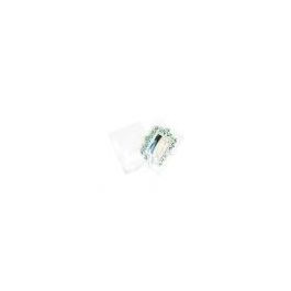 Plastic Zakken 26,5x34cm Transparant (100 stuks) [B10X13NF]