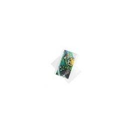 Plastic Zakken 29x44cm Transparant (100 stuks) [B1117NF]