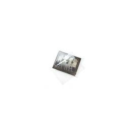 Plastic Zakken 31.6 x 41.1 cm Transparant (100 stuks) [B12NF]