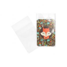 Plastic Zakken 10x13,3cm Transparant en Hersluitbaar (100 stuks) [B3H5PC]