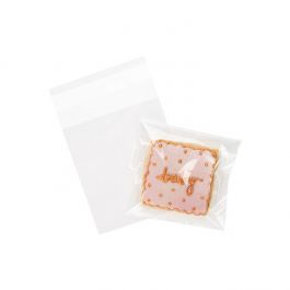 Plastic Zakken 9,5x10,5cm Transparant en Hersluitbaar (100 stuks) [B3X4]