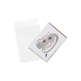Plastic Zakken 12,5x18cm Transparant en Hersluitbaar (100 stuks) [B47]