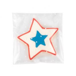 Frosted Plastic Zakken 12,7x12,7 cm Met Stippen en Plakstrip (100 Stuks) [B55FD]