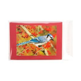 Plastic Zakken 14,6x19,7cm Transparant en Hersluitbaar (100 stuks) [B57M]