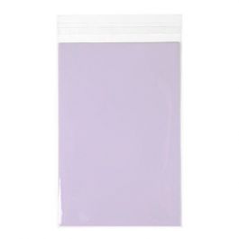 Plastic Zakken 15x22cm Transparant en Hersluitbaar (100 stuks) [B59]