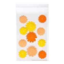 Plastic Zakken 14,5x21,8cm Transparant en Hersluitbaar (100 stuks) [B59S]
