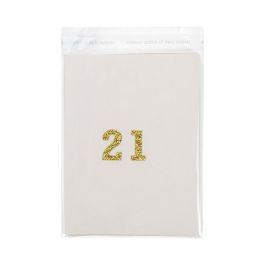 Plastic Zakken 12,5x15,5cm Transparant en Hersluitbaar (100 stuks) [B5B1]