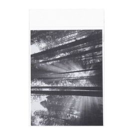 Plastic Zakken 13,8x18,4cm Transparant en Hersluitbaar (100 stuks) [B75PC]