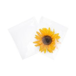 Plastic Zakken 22,1x21,7cm Transparant en Hersluitbaar (100 stuks) [B8X8M]