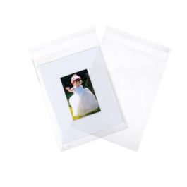 Plastic Zakken 22x30cm Transparant en Hersluitbaar (100 stuks) [BA4]