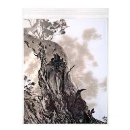 Plastic Zakken 28,6x35,9cm Transparant en Hersluitbaar (100 stuks) [B11S]