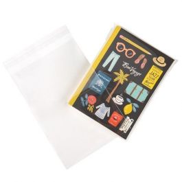 Plastic Zakken 14,3x21cm Transparant en Hersluitbaar (100 stuks) [B58]