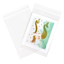 Plastic Zakken 21,4x31,1cm Transparant en Hersluitbaar (100 stuks) [B812]